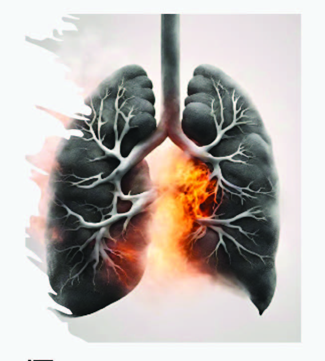Tox logo